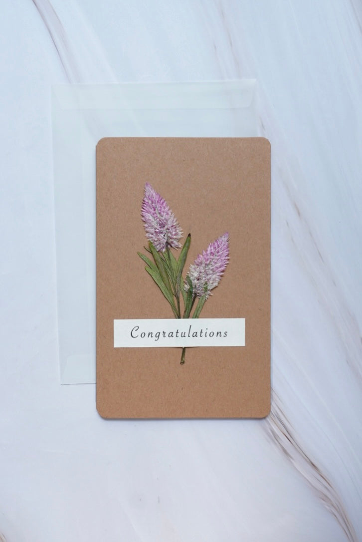 Greeting Cards with「Phoenix Tail Flower 」