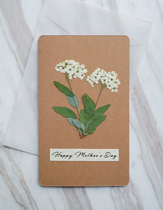Mother's Day Card 「SPIREA FLOWER」
